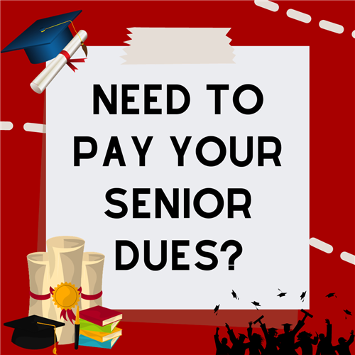  Senior Dues